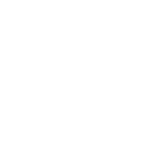 Service now